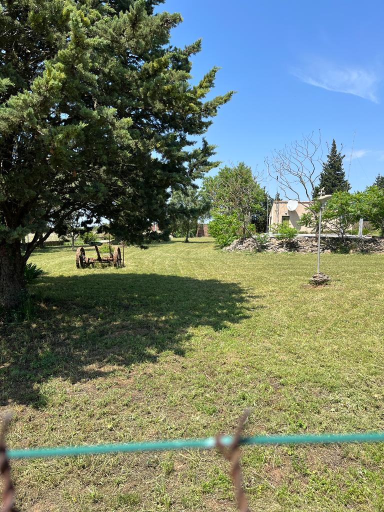 finished lawn mowing